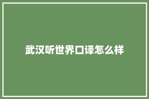武汉听世界口译怎么样