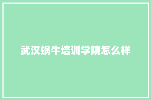 武汉蜗牛培训学院怎么样