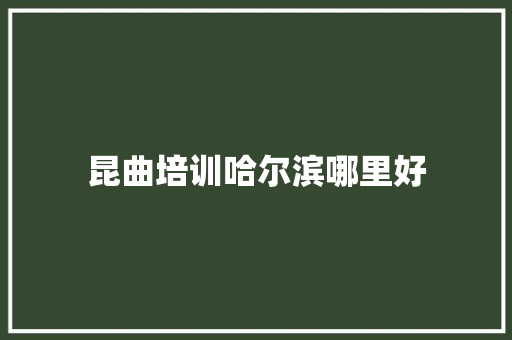 昆曲培训哈尔滨哪里好
