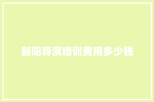 朝阳导演培训费用多少钱