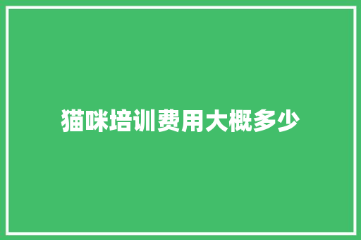 猫咪培训费用大概多少