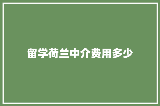 留学荷兰中介费用多少