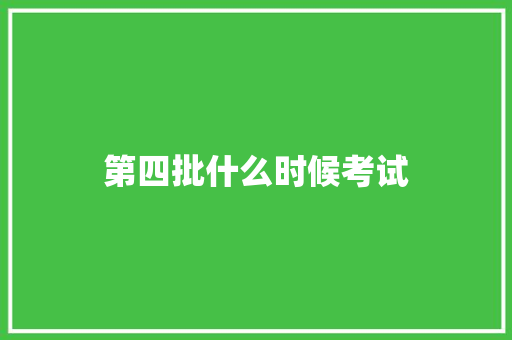 第四批什么时候考试