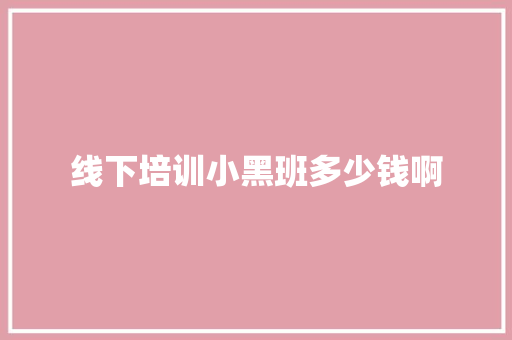 线下培训小黑班多少钱啊