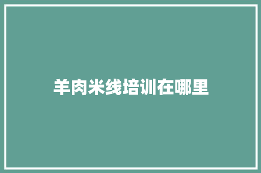 羊肉米线培训在哪里