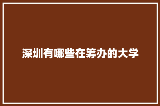 深圳有哪些在筹办的大学