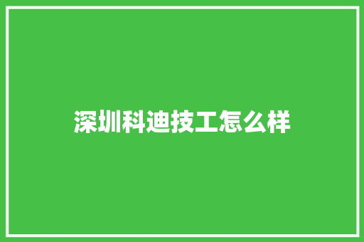 深圳科迪技工怎么样
