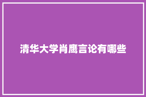 清华大学肖鹰言论有哪些