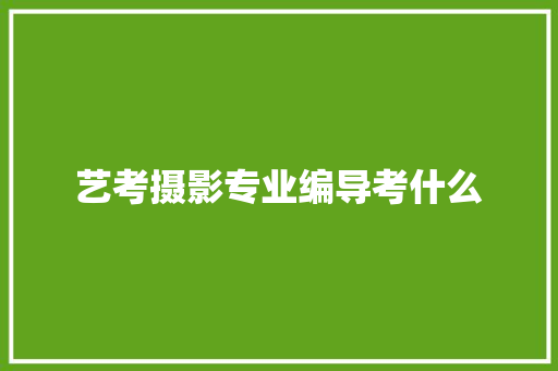 艺考摄影专业编导考什么