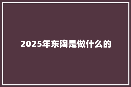 2025年东陶是做什么的