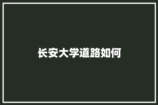 长安大学道路如何