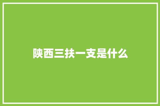 陕西三扶一支是什么