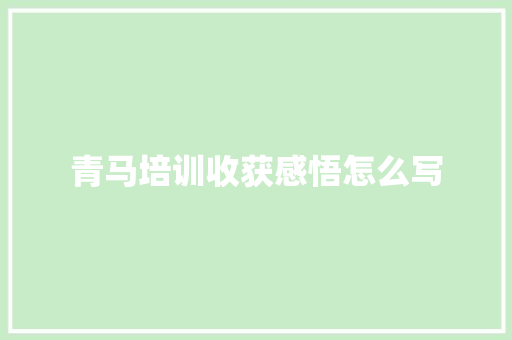 青马培训收获感悟怎么写