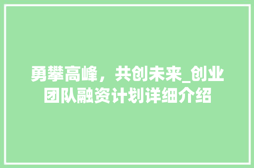勇攀高峰，共创未来_创业团队融资计划详细介绍