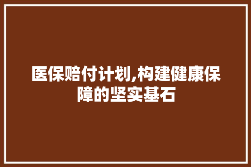医保赔付计划,构建健康保障的坚实基石