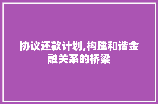 协议还款计划,构建和谐金融关系的桥梁