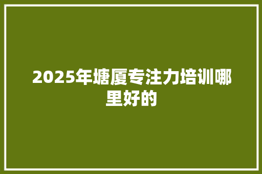 2025年塘厦专注力培训哪里好的