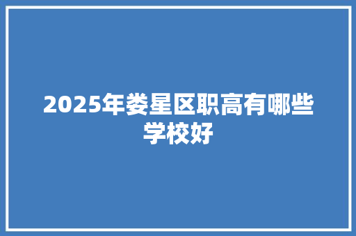 2025年娄星区职高有哪些学校好