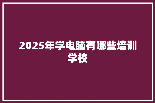 2025年学电脑有哪些培训学校