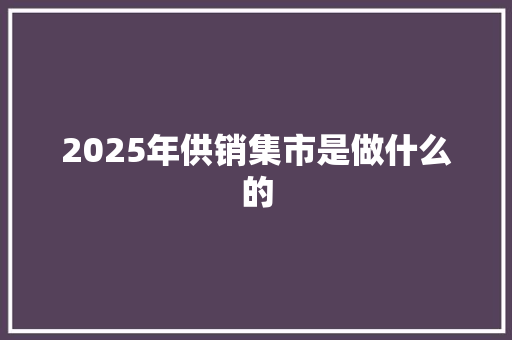 2025年供销集市是做什么的