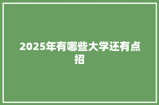2025年有哪些大学还有点招