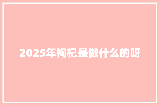 2025年枸杞是做什么的呀