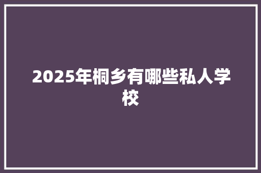 2025年桐乡有哪些私人学校