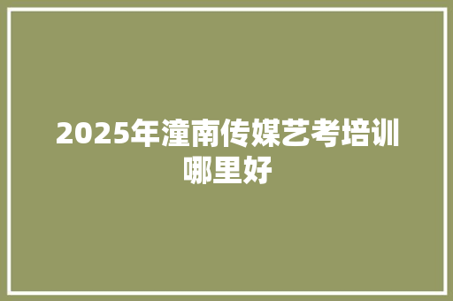 2025年潼南传媒艺考培训哪里好