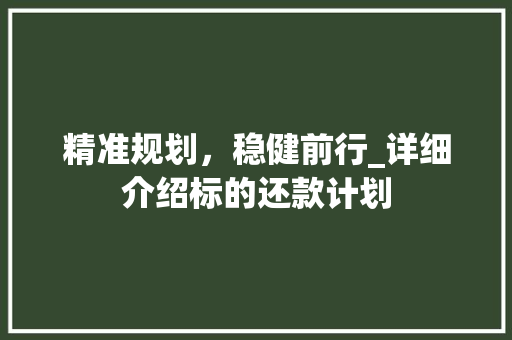 精准规划，稳健前行_详细介绍标的还款计划