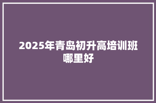 2025年青岛初升高培训班哪里好