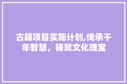 古籍项目实施计划,传承千年智慧，铸就文化瑰宝