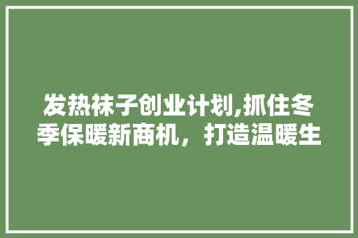 发热袜子创业计划,抓住冬季保暖新商机，打造温暖生活新时尚 个人简历