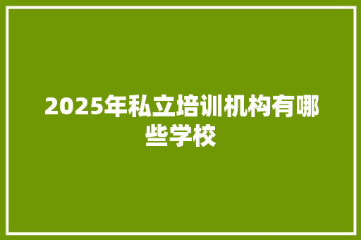 2025年私立培训机构有哪些学校