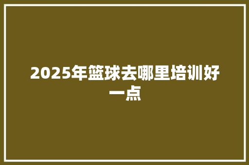 2025年篮球去哪里培训好一点