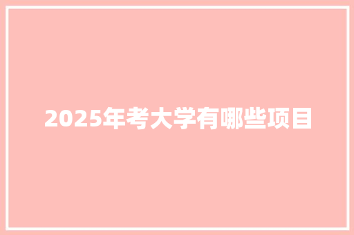 2025年考大学有哪些项目