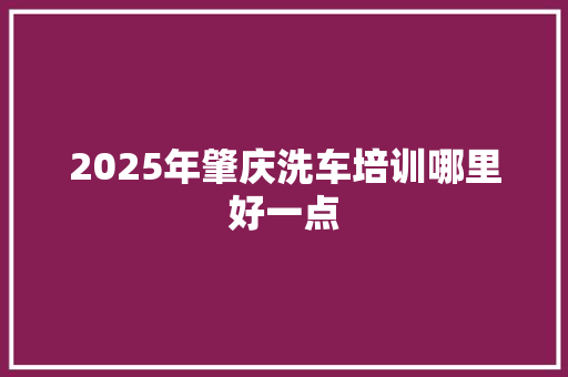 2025年肇庆洗车培训哪里好一点