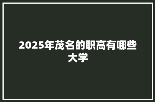 2025年茂名的职高有哪些大学