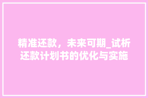 精准还款，未来可期_试析还款计划书的优化与实施
