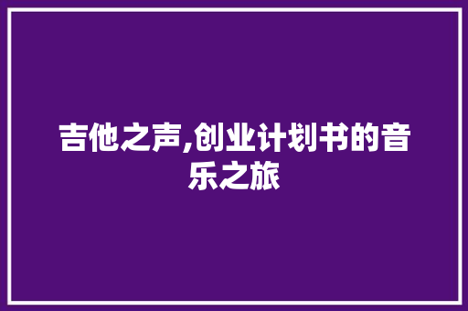 吉他之声,创业计划书的音乐之旅