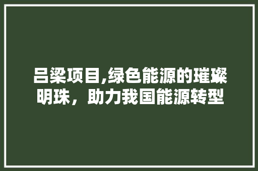吕梁项目,绿色能源的璀璨明珠，助力我国能源转型
