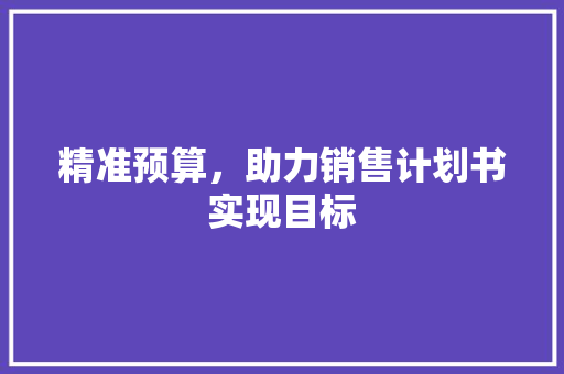 精准预算，助力销售计划书实现目标