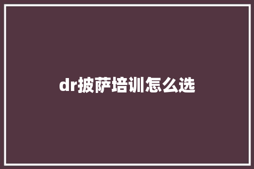 dr披萨培训怎么选 个人简历