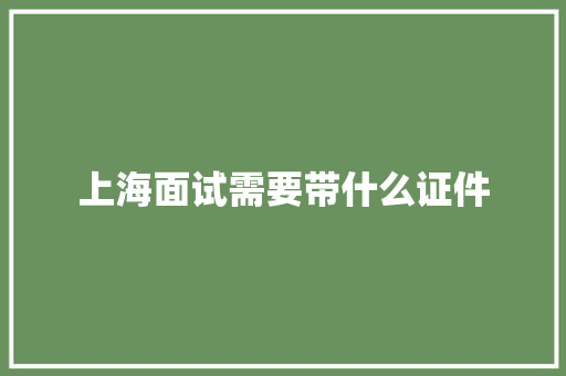 上海面试需要带什么证件 演讲稿