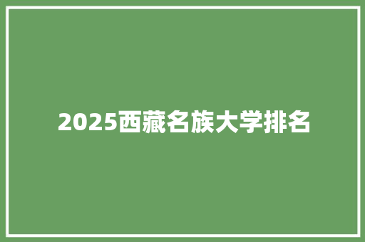 2025西藏名族大学排名