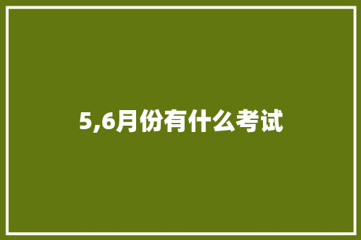 5,6月份有什么考试