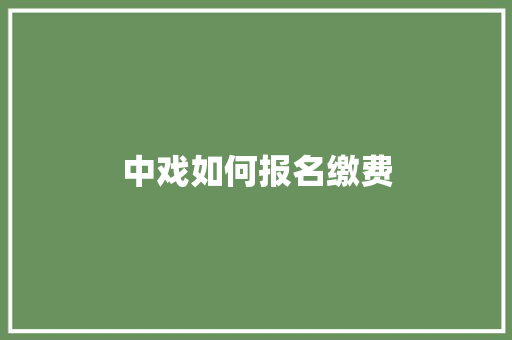 中戏如何报名缴费