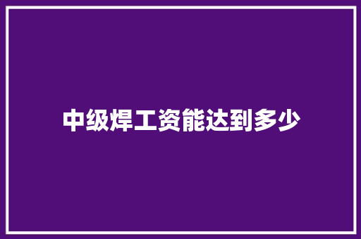 中级焊工资能达到多少