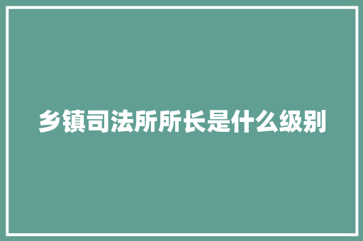 乡镇司法所所长是什么级别