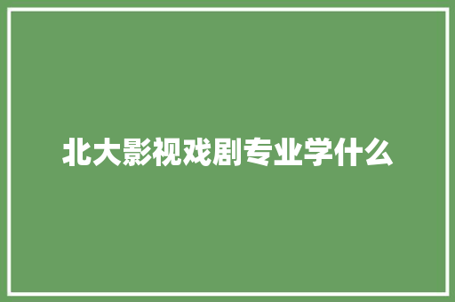 北大影视戏剧专业学什么