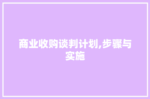 商业收购谈判计划,步骤与实施